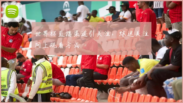世界杯直播渠道引关注，球迷关注网上观看方式