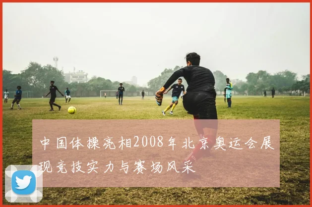 中国体操亮相2008年北京奥运会展现竞技实力与赛场风采