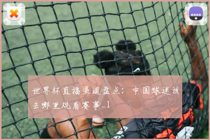 世界杯直播渠道盘点：中国球迷该去哪里观看赛事_1