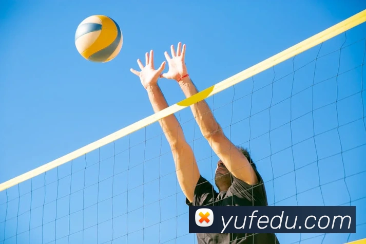 leyu网页版发展历程