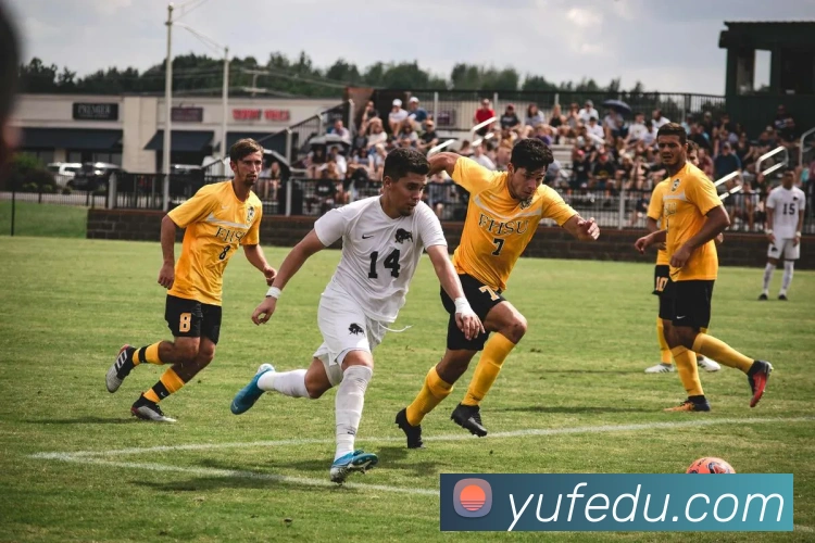 亚锦赛下一届举办年份确定 国字号球队备战焦点提前落位